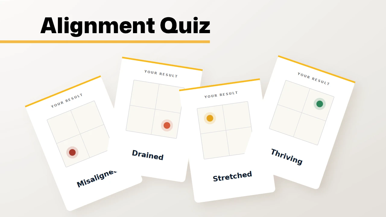 Results of the free alignment quiz for entrepreneurs.